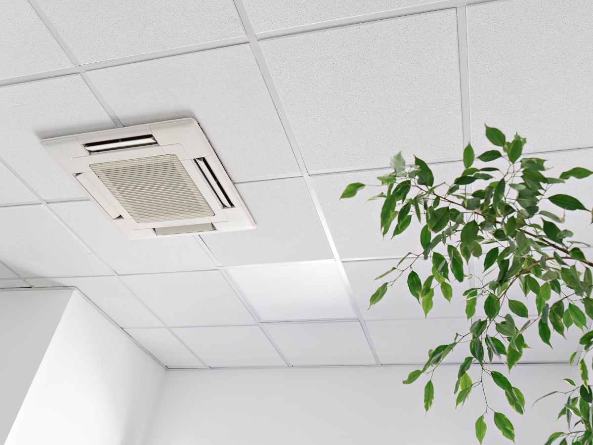 A white ceiling with square tiles, a built-in ceiling air conditioning unit, and part of a leafy green plant in the foreground highlight a focus on Indoor Air Quality Atlanta.
