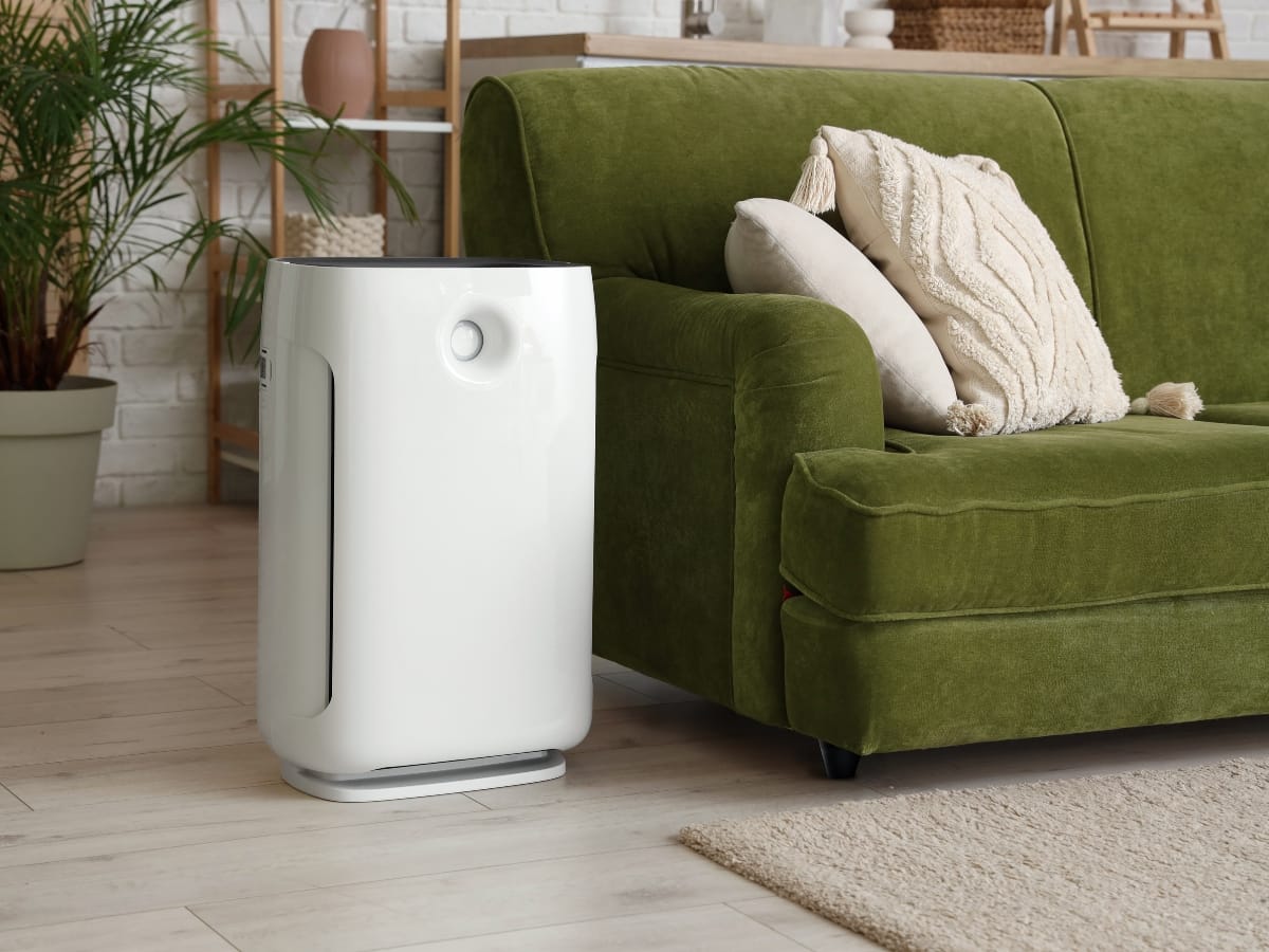 A white air purifier sits on a light wood floor next to a green sofa with a beige pillow in a living room featuring plants, shelves, and pet friendly HVAC for a comfortable environment.