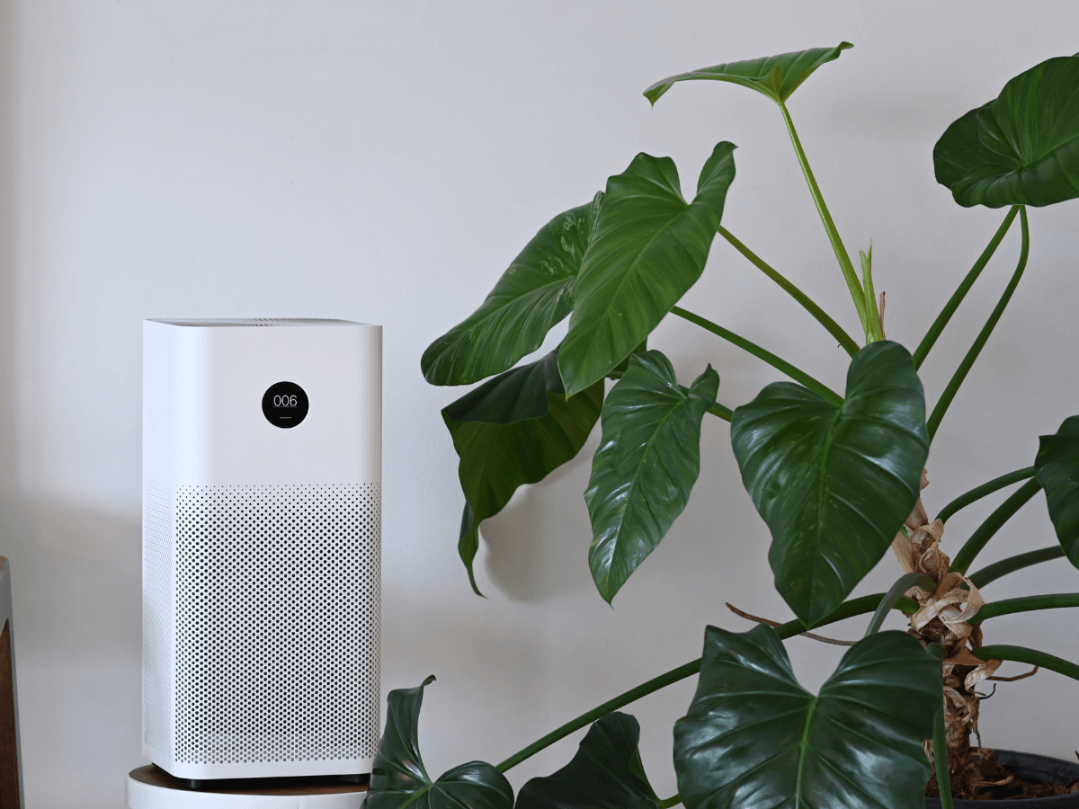 A white air purifier with a digital display stands next to a large green potted plant, highlighting mindful climate impact and complementing modern HVAC systems against a plain light-colored wall.